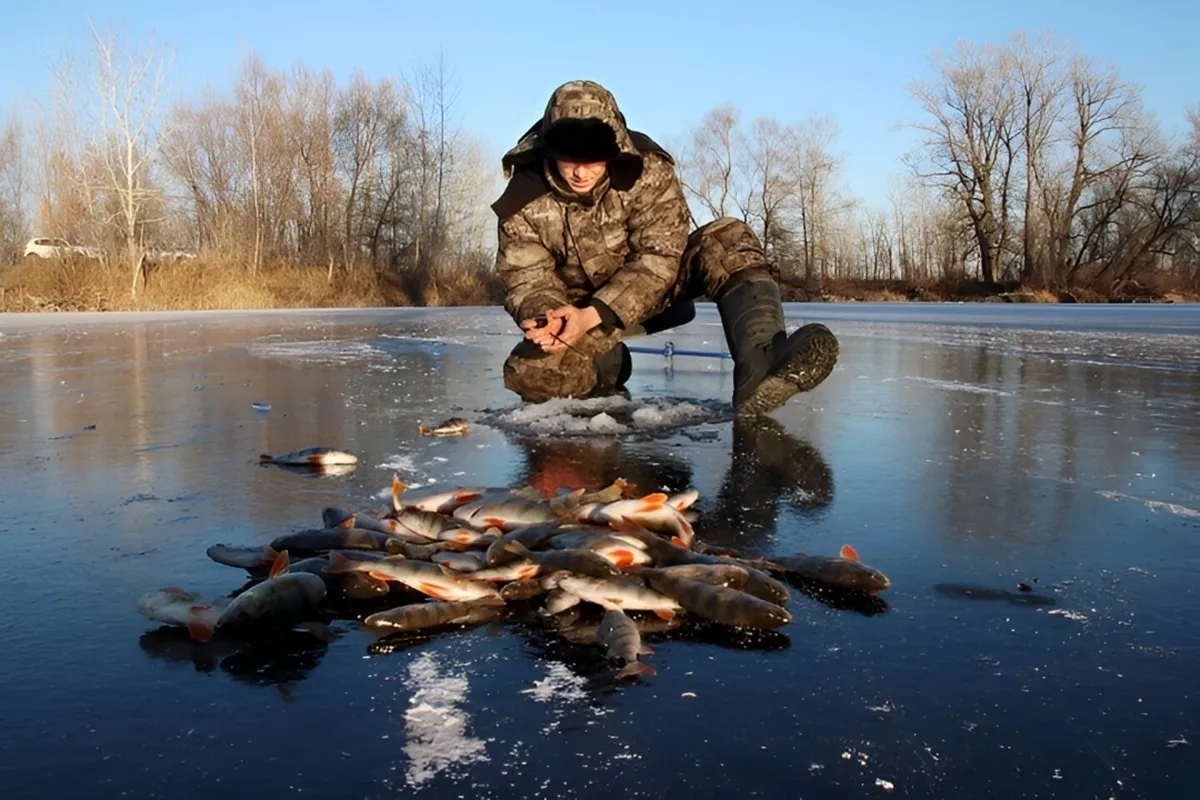 Фото иллюстрационное