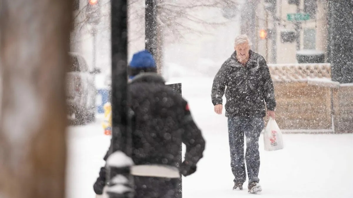 Фото иллюстрационное