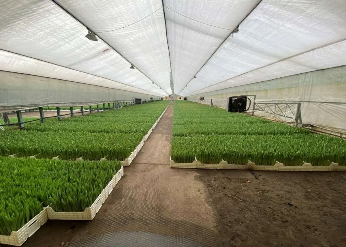 Фото: КГК РБ