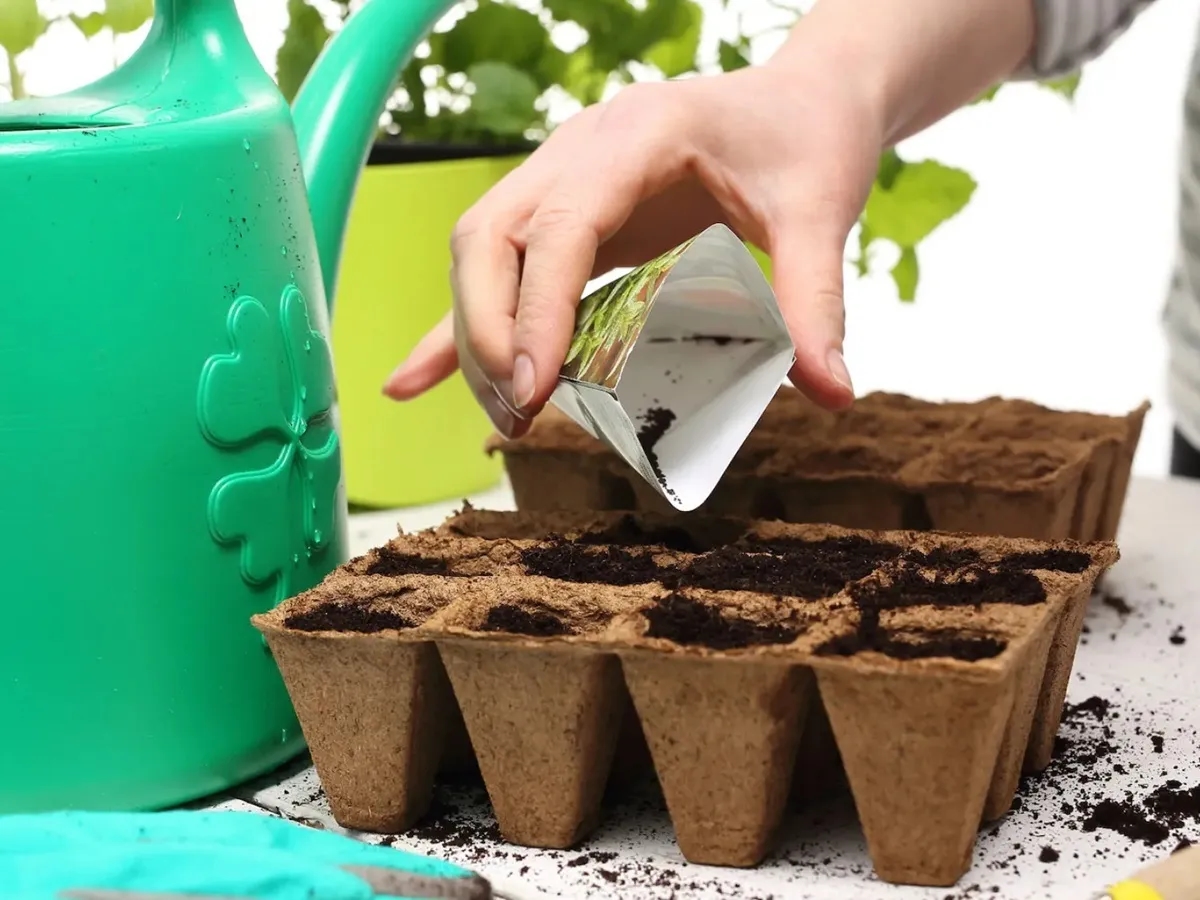 Фото иллюстрационное