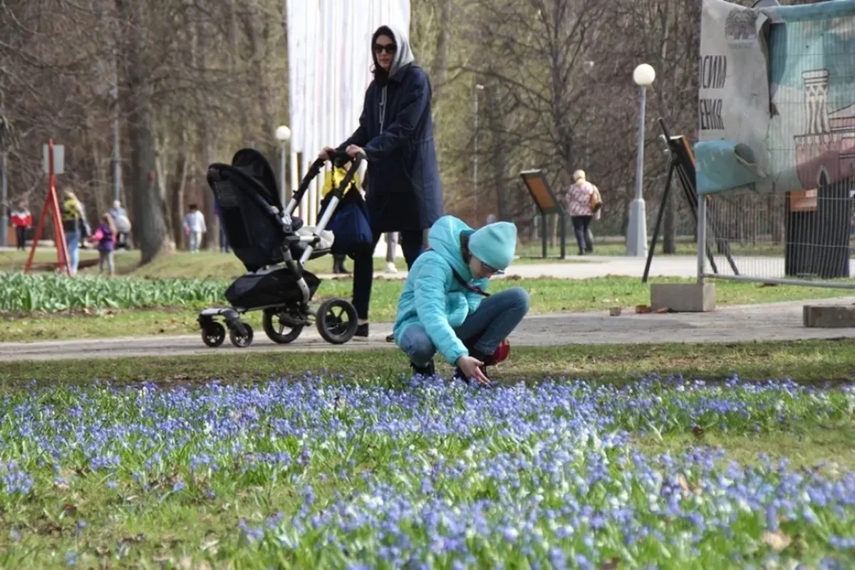 Фото иллюстрационное