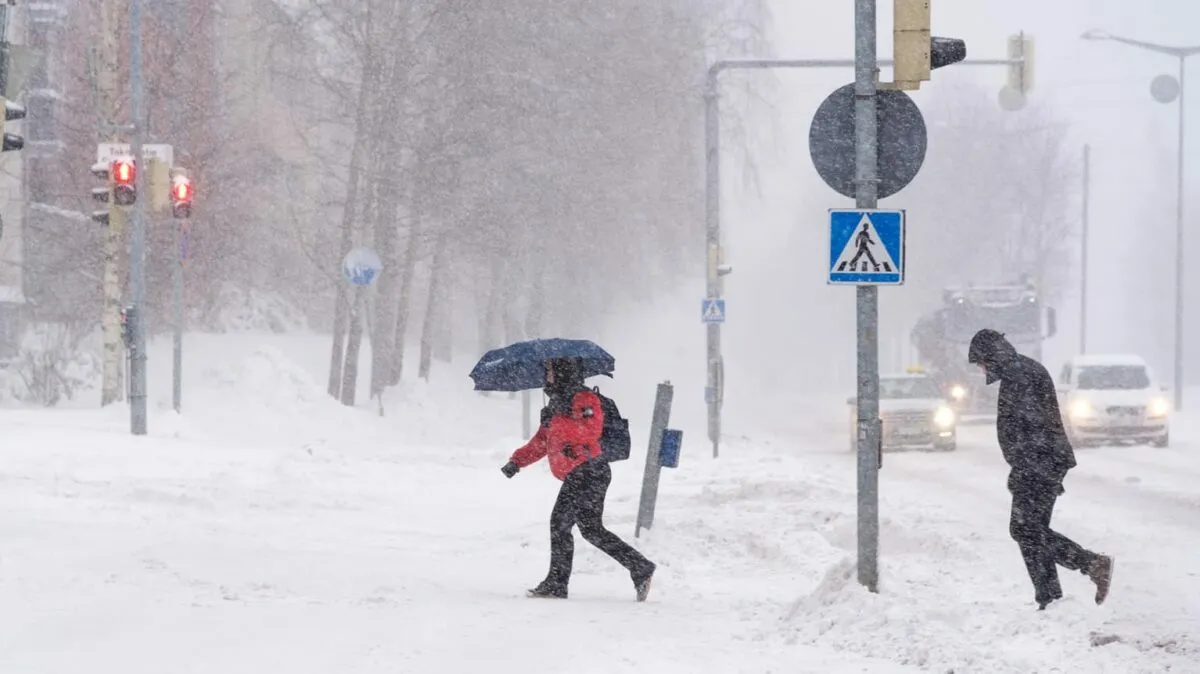 В Беларуси наступил пик арктических морозов. Когда "подсыплет" ещё и снега