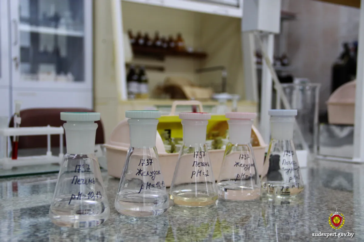 Пили стеклоомыватель? Три белоруса скончались от отравления метиловым спиртом