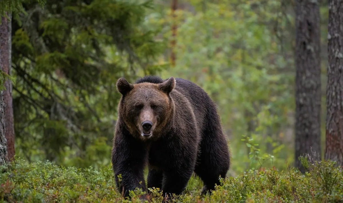 Фото иллюстрационное