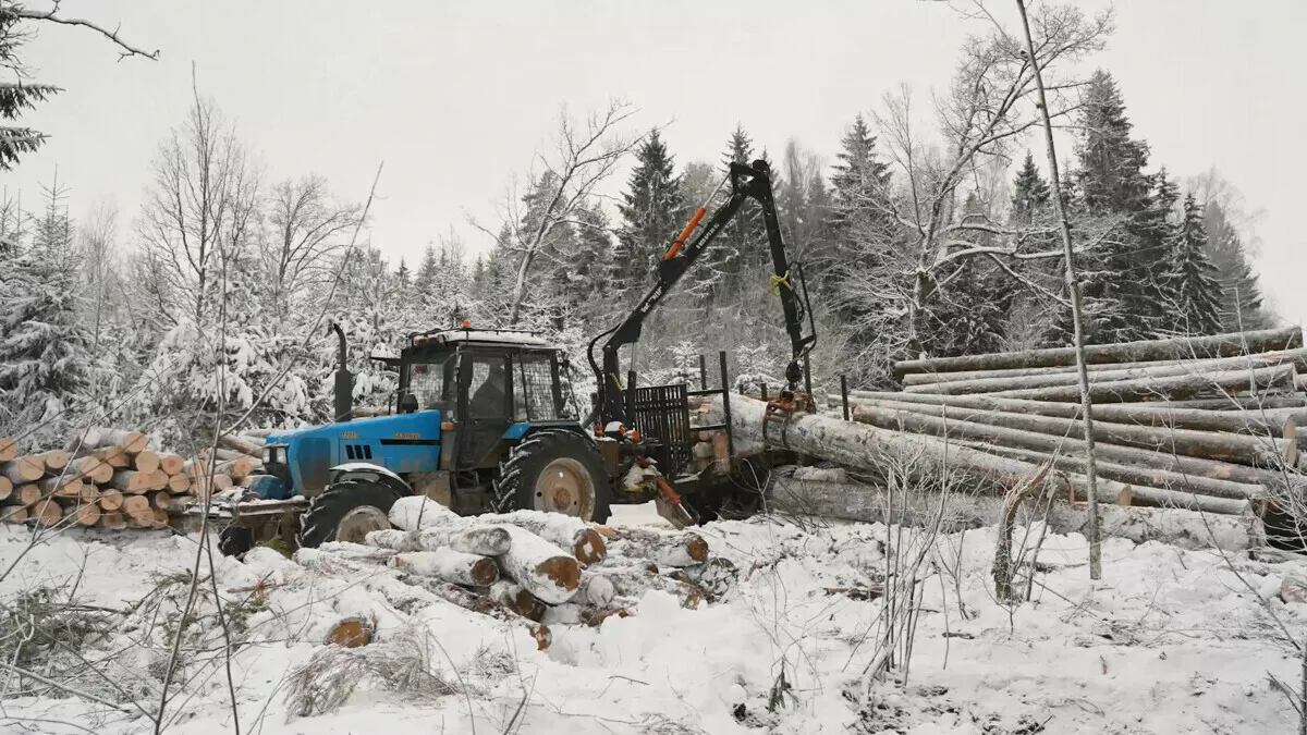 Фото иллюстрационное: av.by
