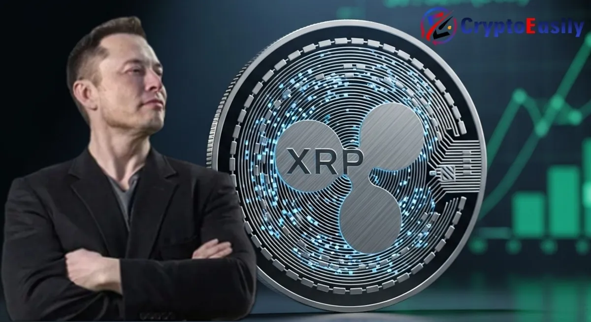Маск верит: XRP cтанет самой значимой высокодоходной инвестицией в 2026 году