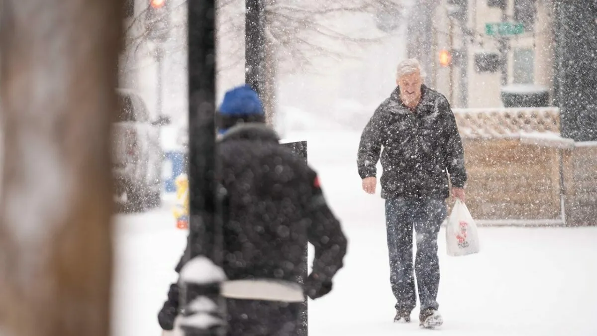 Фото иллюстрационное