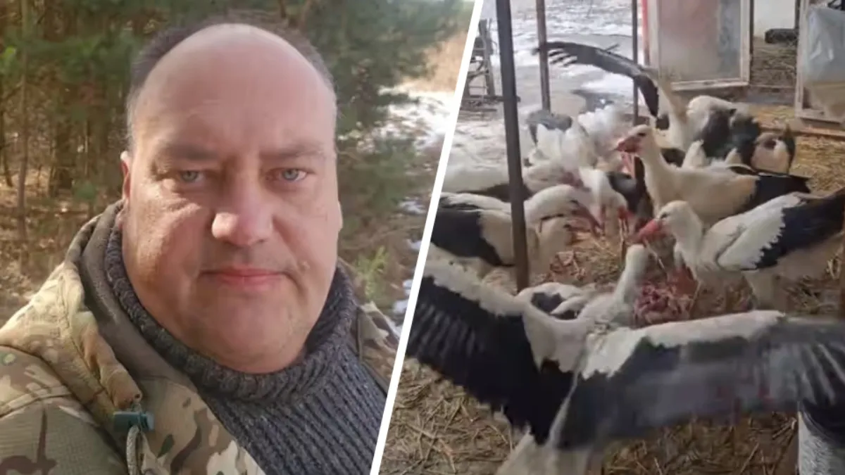 «Дом Брестского аиста» объявил о закрытии - «До последнего боролся»