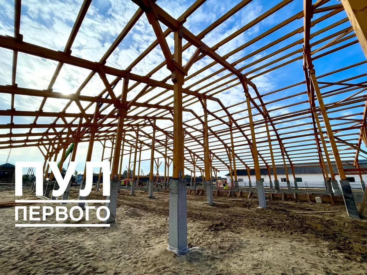 Совмин зафиксировал цену в 205 рублей за кубометр пиломатериалов. Но для одной цели