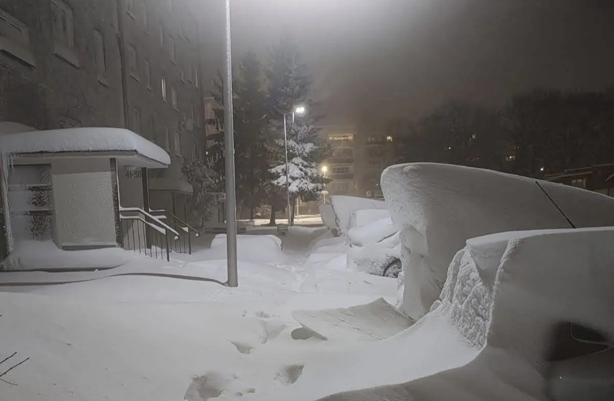 Снегопады в Польше устроили коллапс на дорогах