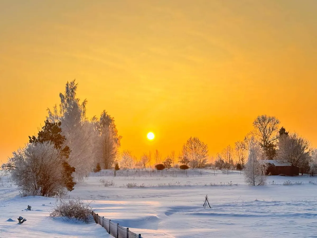 До -30°С. В трёх регионах Беларуси объявили оранжевый уровень опасности