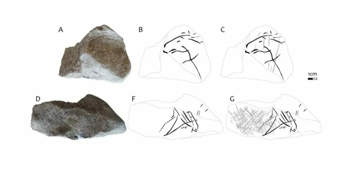 Археологи обнаружили изображения лошадей, которым 16 000 лет