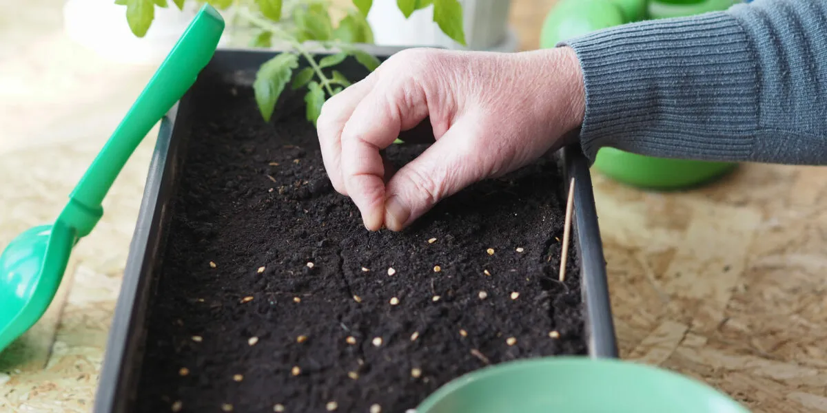 Фото иллюстрационное