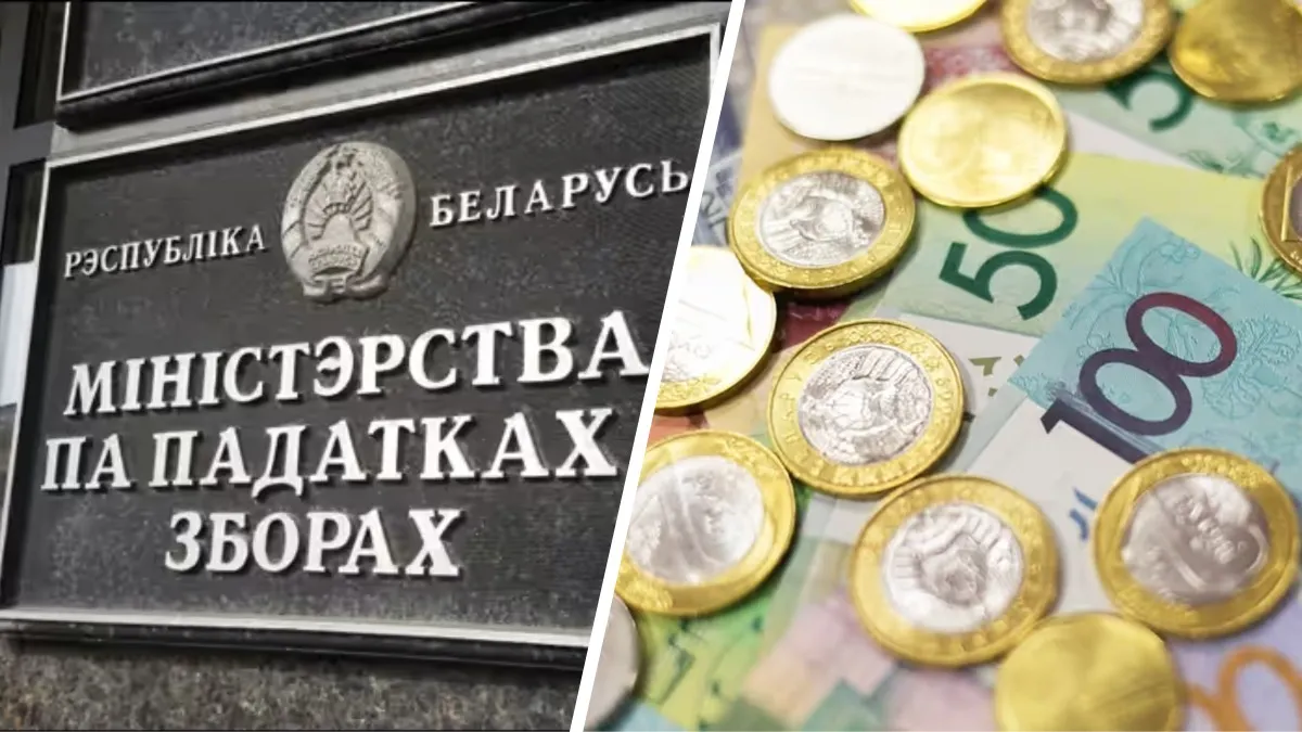 МНС призвало часть белорусов срочно зайти в ЕРИП «во избежание финансовых санкций»