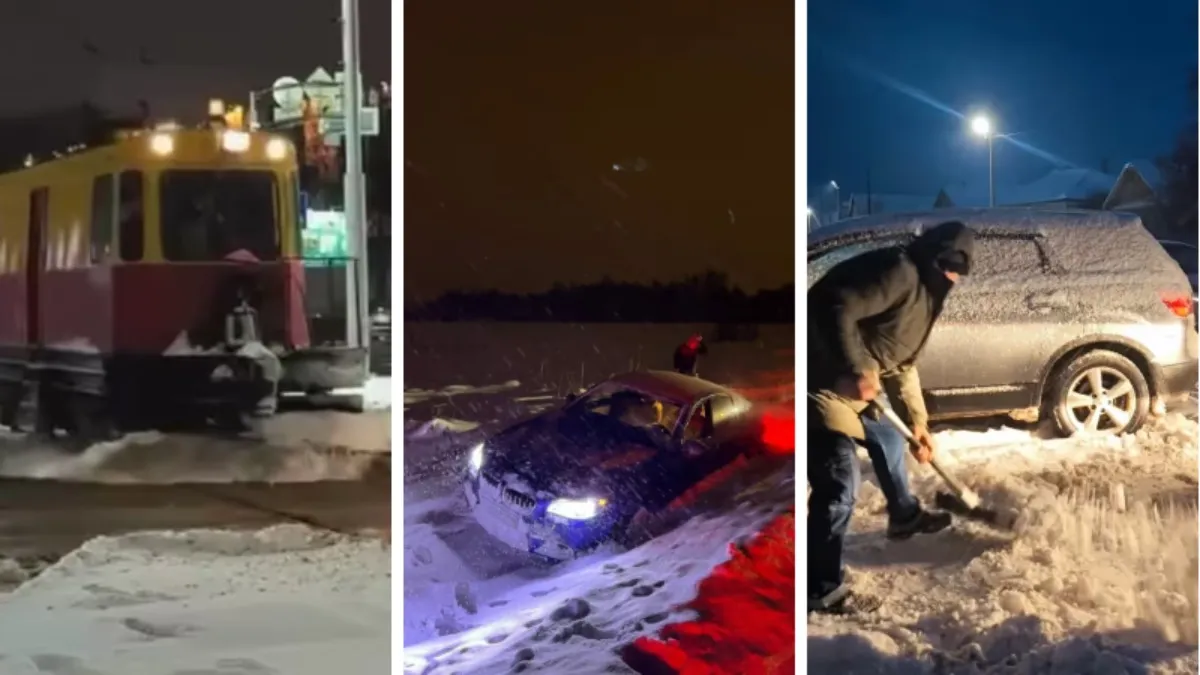 Пассажиры устроили массовую драку и настоящий хаос в самолете из Турции