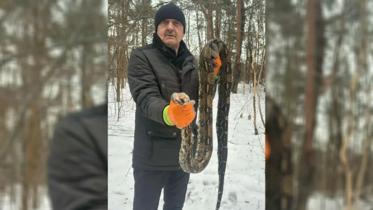 В Польше в зимнем лесу нашли 2-метрового питона