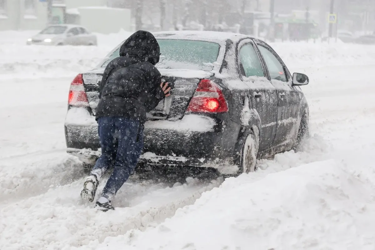 Фото иллюстрационное