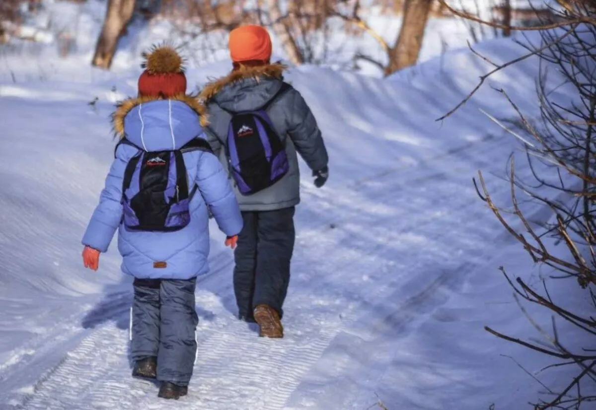 Отменят ли уроки в белорусских школах 2 февраля из-за морозов? Минобразования дало разъяснение