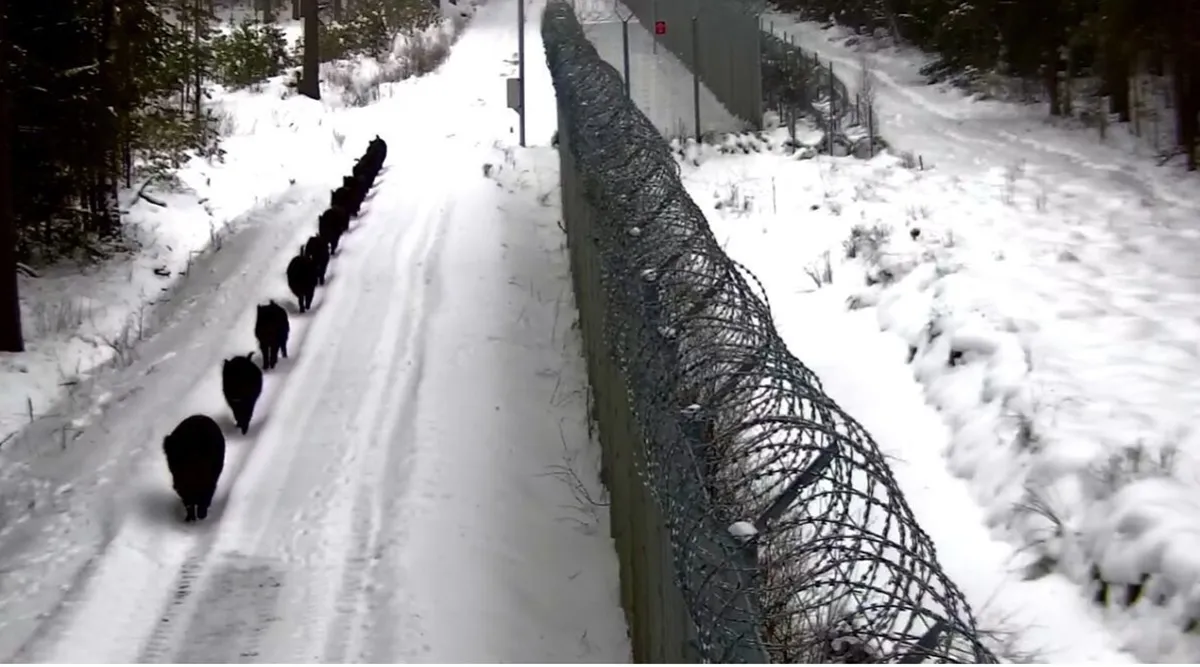 Скриншот видео Погранслужбы Литвы