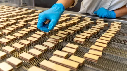 В Беларуси утвердили профессиональный стандарт для работников кондитерских фабрик