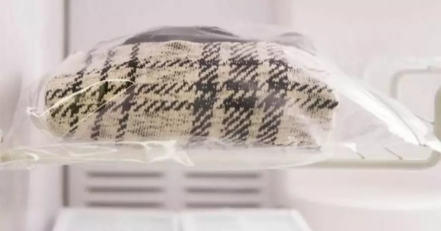 Энтомологи назвали лучший способ защитить одежду и дом от моли