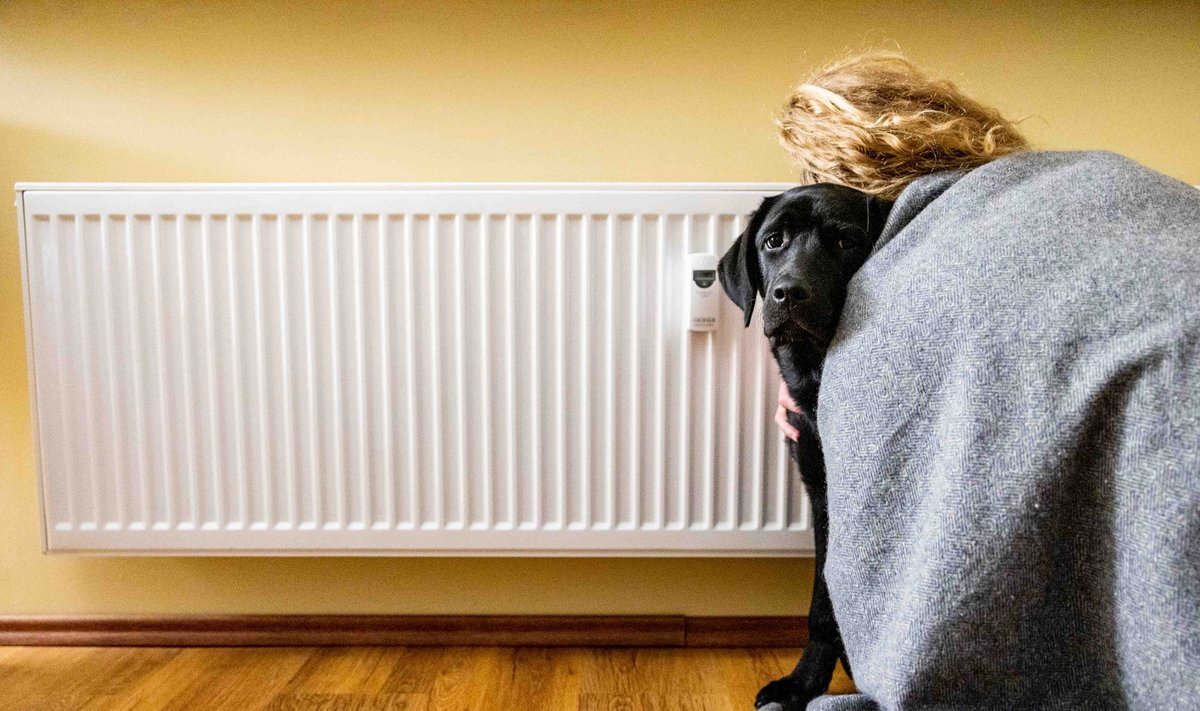 Фото иллюстрационное