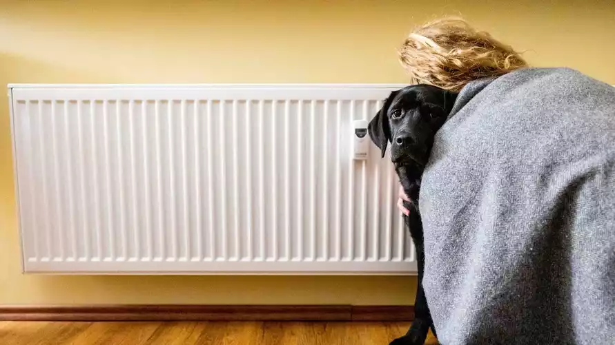 Фото иллюстрационное