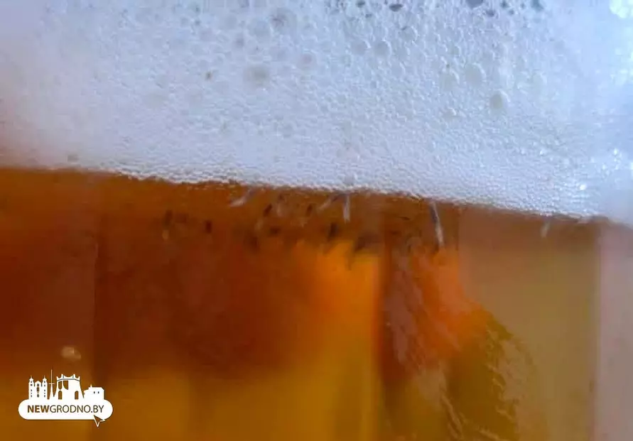 Белорусы пожаловались на пиво с личинками в одном из баров Гродно