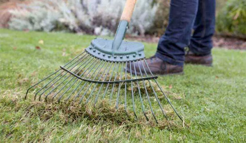 Не пропустите эти 6 работ на участке в сентябре. Иначе весной будете жалеть