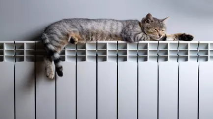 На это нужно потратить 5 минут всем белорусам ещё в сентябре, чтобы сэкономить на отоплении зимой