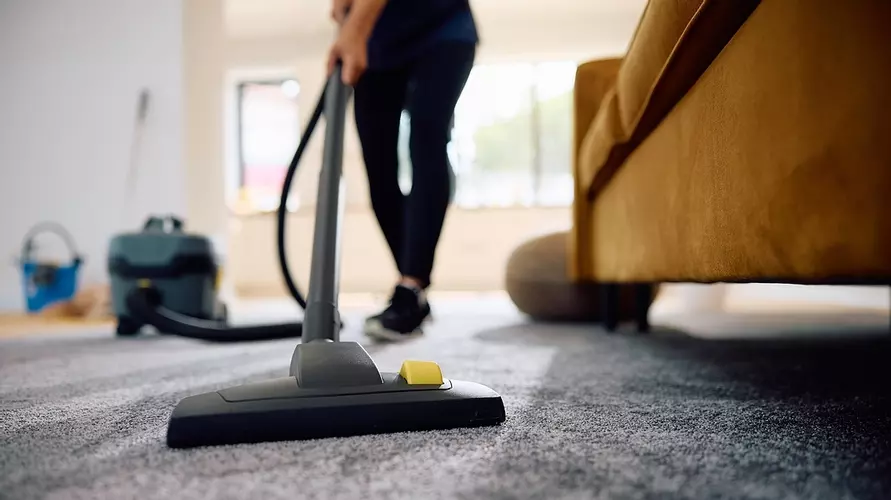 Энтомологи назвали лучший способ защитить одежду и дом от моли