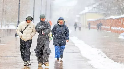 Синоптики назвали вероятную дату первого снега в Беларуси. Неужели в сентябре?