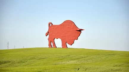 В этом регионе Беларуси зафиксировали две смерти от укусов насекомых