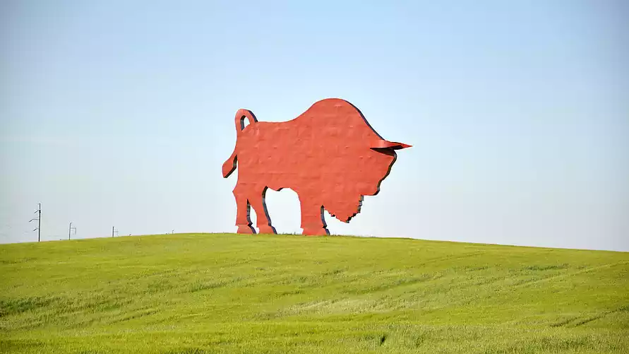 В этом регионе Беларуси зафиксировали две смерти от укусов насекомых