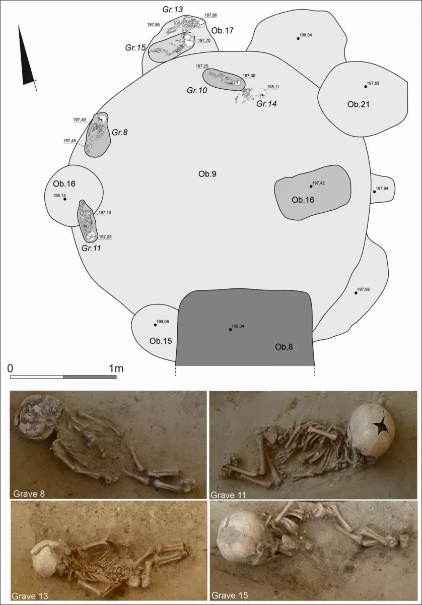 Европейские учёные переписали историю происхождения славян и назвали роль территорий Беларуси  - Тысячи могил заговорили