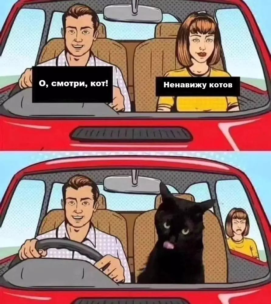 Эти 15 забавных котов заставили интернет умиляться и смеяться в голос