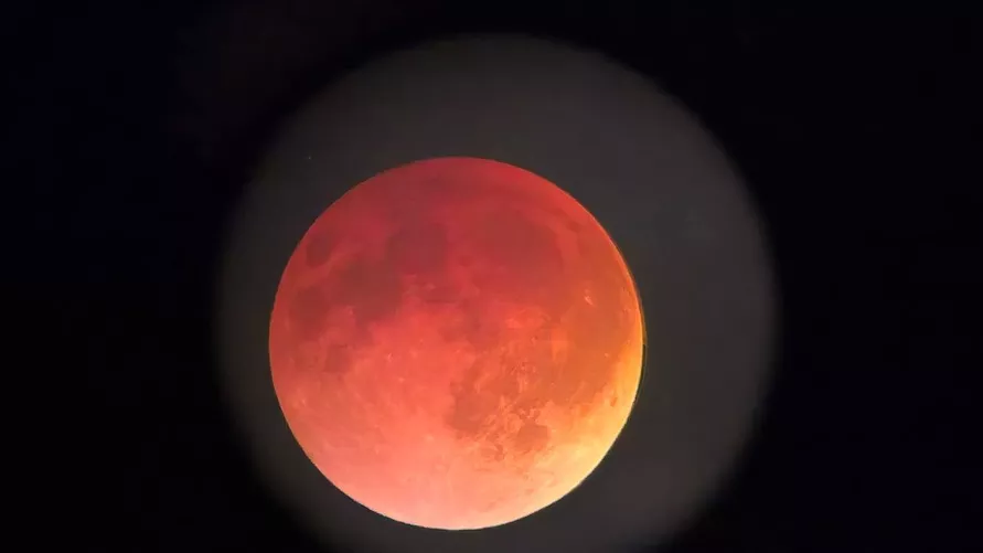 Появились снимки Кровавой Луны над Беларусью
