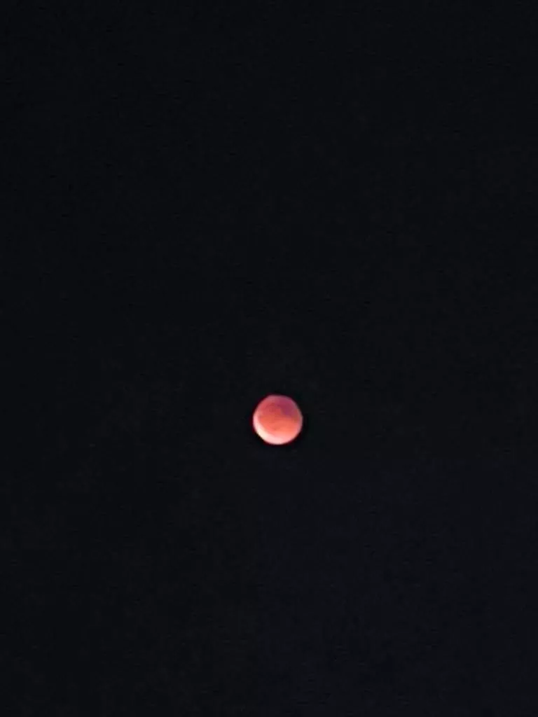 Появились снимки Кровавой Луны над Беларусью