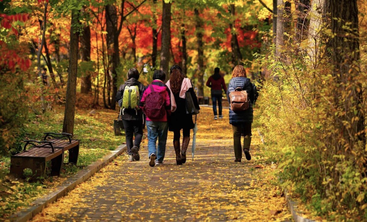 Синоптики пообещали до +19°C. Будет ли в Беларуси "классическая золотая осень"?