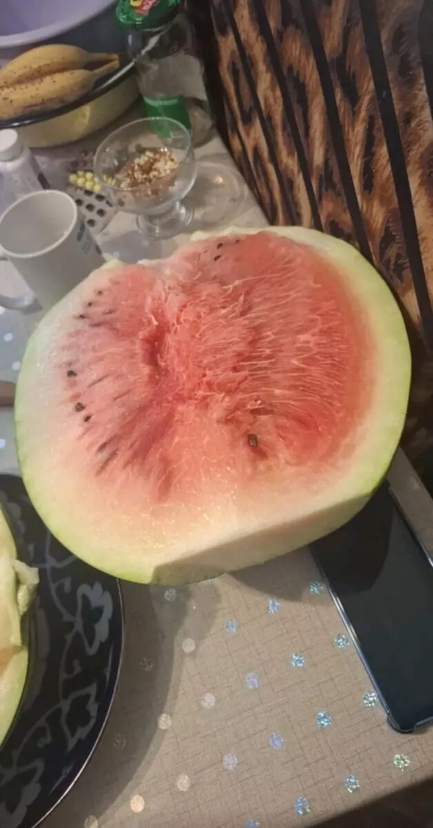 Белоруска показала «обидный» урожай арбузов. В комментариях тут же похвастались своим