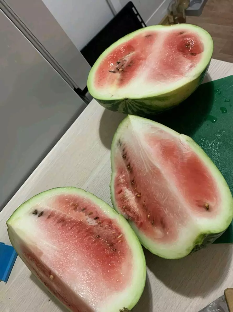 Белоруска показала «обидный» урожай арбузов. В комментариях тут же похвастались своим