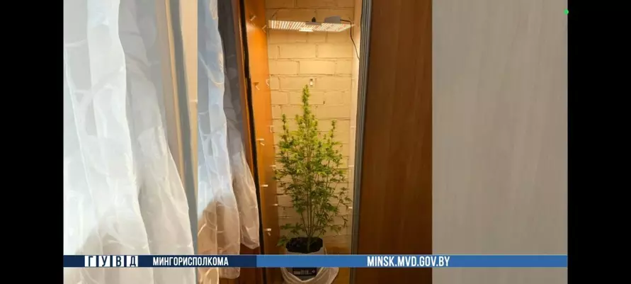 В Минске мужчину арестовали за нестандартное применение шкафу