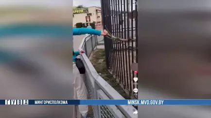 Милиция задержала 50-летних жителей Витебщины, которые издевались над оленем в Минском зоопарке