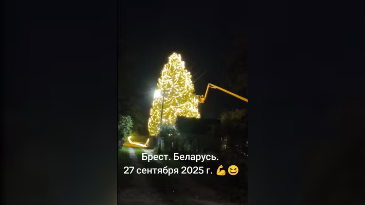 В Бресте заметили первую новогоднюю ёлку – «Дайте хоть арбузы доесть»