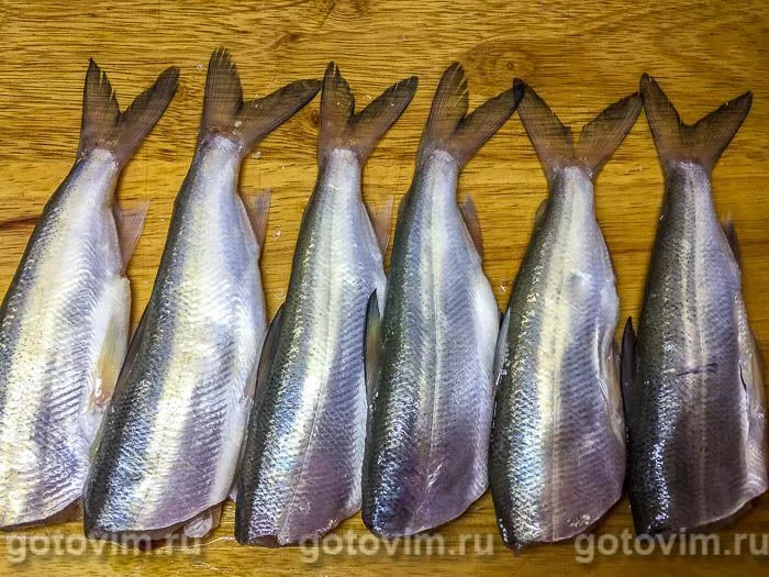 Эту нежную до неприличия рыбу мечтают словить многие рыбаки. Где найти в Беларуси и как приготовить?