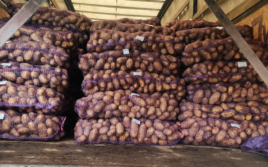 В России заблокировали партию картошки из Беларуси