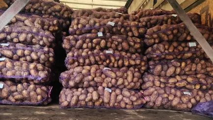 В России заблокировали партию картошки из Беларуси