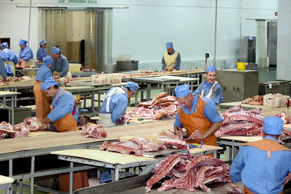 Фото иллюстрационное