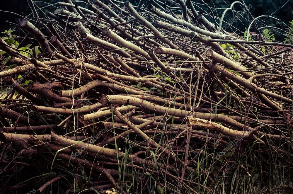 В ЖКХ предложили минчанам ставить под углом ветки и класть доски в случае одной опасности