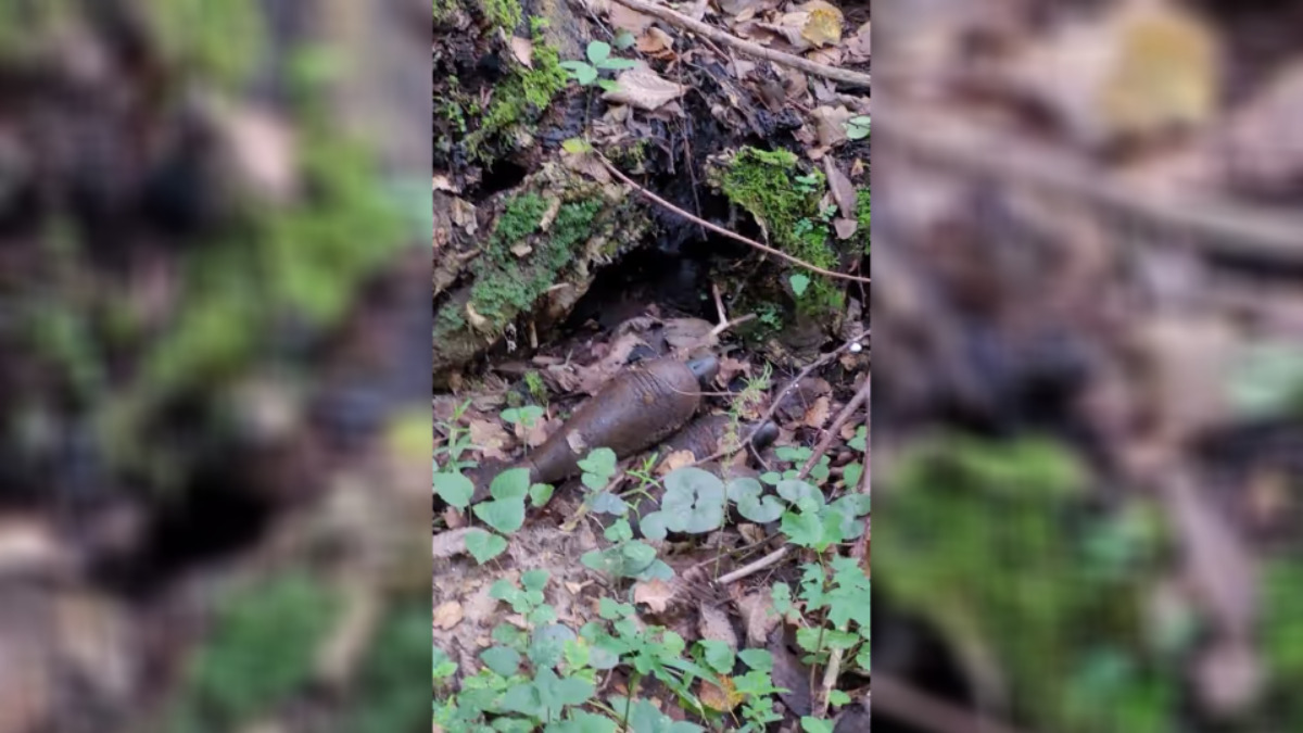 Грибник показала опасную находку в лесу под Витебском и вызвала волну возмущения зрителей – «В смысле побегу?»